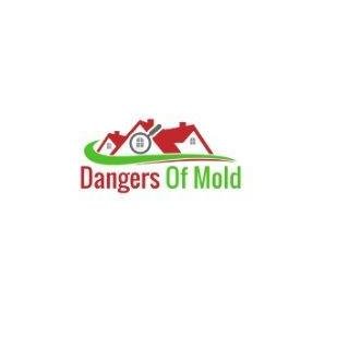 Mold Test for Homes | Best Mold Testing Services